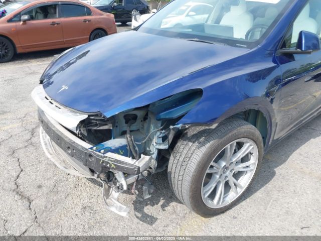 2023 TESLA MODEL Y 7SAYGDEE5PA102285 Photo 5