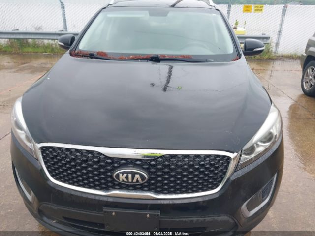 5XYPG4A37GG049212 KIA Sorento 2.4l Lx