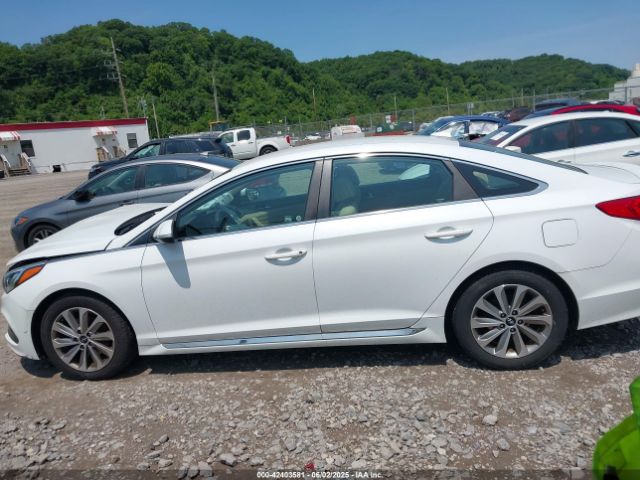 5NPE34AFXFH032702 Hyundai Sonata Sport
