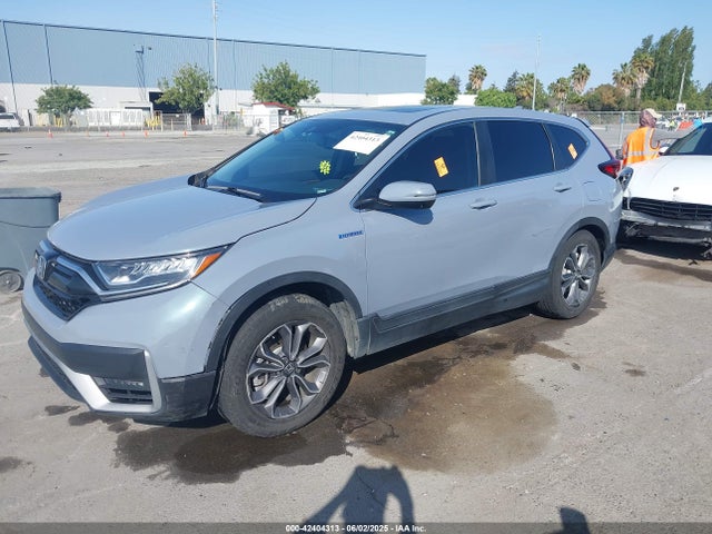 Honda lfb2 2022 5J6RT6H85NL041333 Image 2