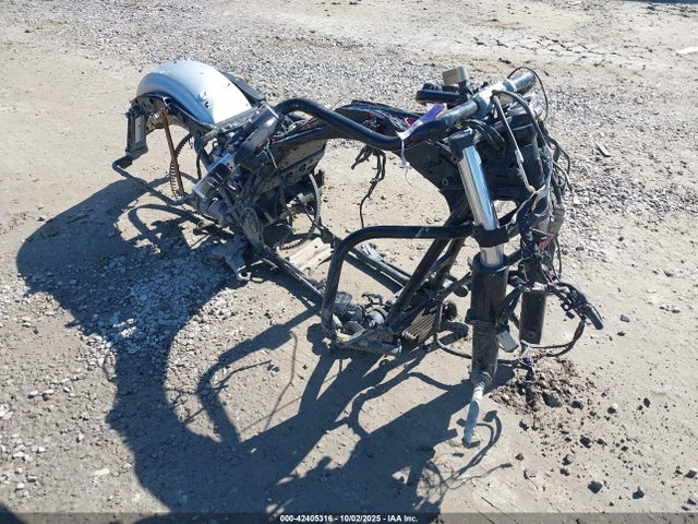 1HD1KBM17EB603969 Harley-Davidson Twin Cam 103