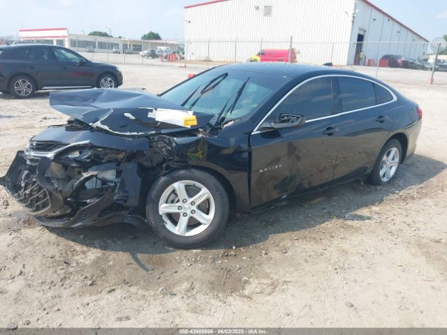 2020 CHEVROLET MALIBU 1G1ZB5ST9LF010381 Photo 1
