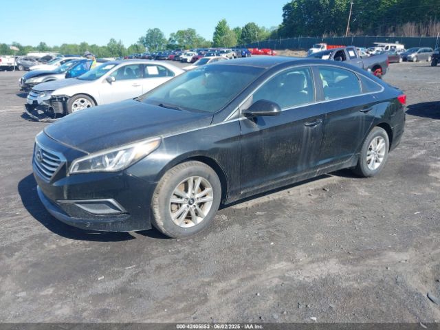 5NPE24AF0HH528467 Hyundai Sonata