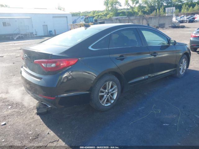 5NPE24AF0HH528467 Hyundai Sonata