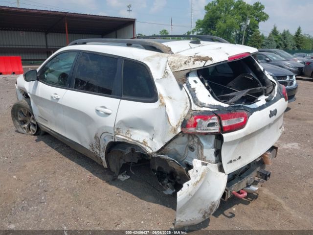 2017 JEEP CHEROKEE 1C4PJMBSXHW657446 Photo 2