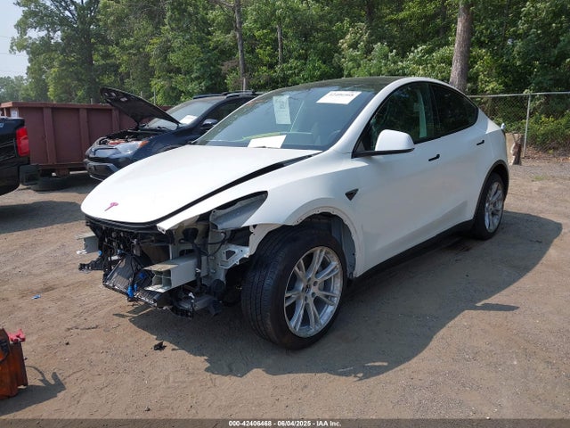 2023 TESLA MODEL Y 7SAYGDEE6PF684013 Photo 1