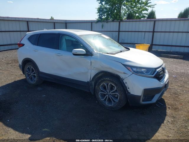 2022 HONDA CR-V 2HKRW2H82NH628406