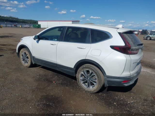 2022 HONDA CR-V 2HKRW2H82NH628406 Photo 2