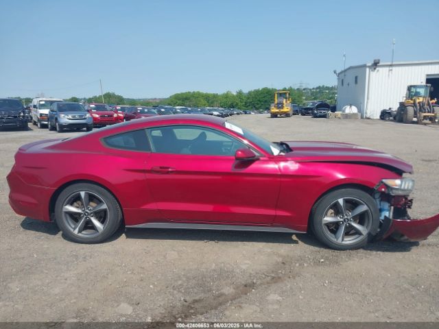 1FA6P8AM6F5365449 Ford Mustang V6