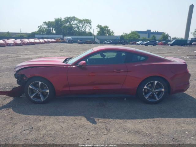 1FA6P8AM6F5365449 Ford Mustang V6