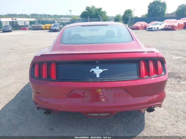 1FA6P8AM6F5365449 Ford Mustang V6
