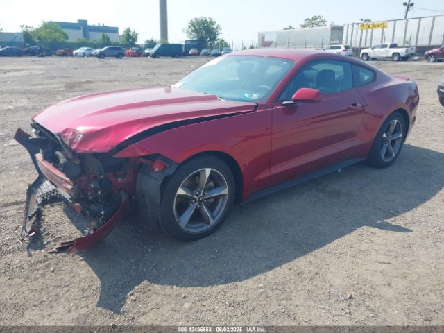 1FA6P8AM6F5365449 Ford Mustang V6