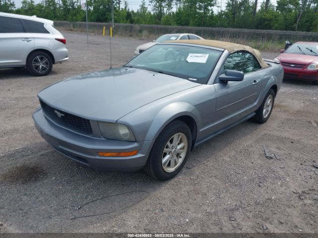 2007 FORD MUSTANG 1ZVFT84N675260614 Photo 1