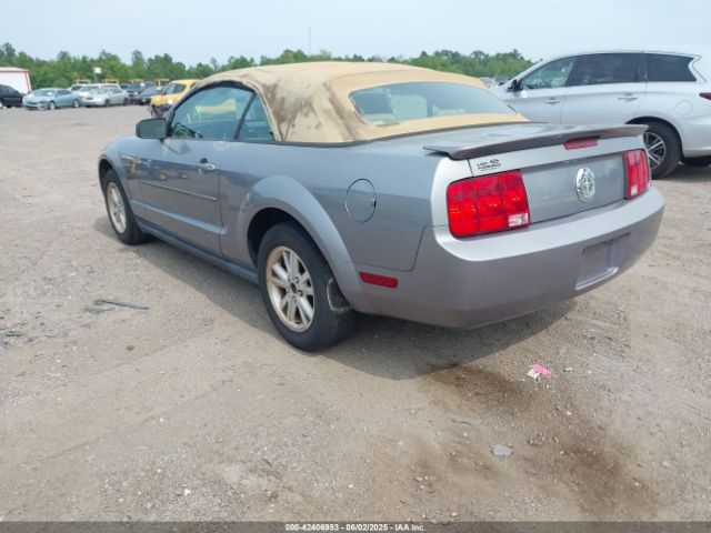 2007 FORD MUSTANG 1ZVFT84N675260614 Photo 2