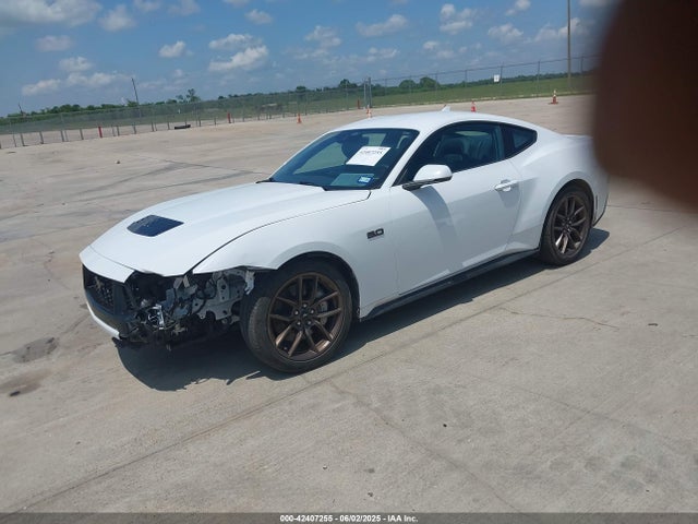 Ford tivct 2024 1FA6P8CF9R5417093 Image 2