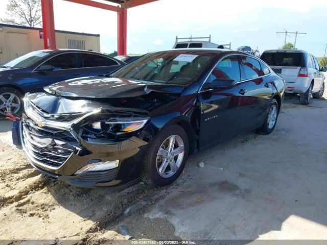 2022 CHEVROLET MALIBU 1G1ZD5ST8NF173651 Photo 1