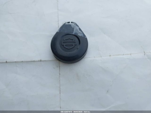 2021 HARLEY-DAVIDSON FLHX 1HD1KBC24MB639918 Photo 10