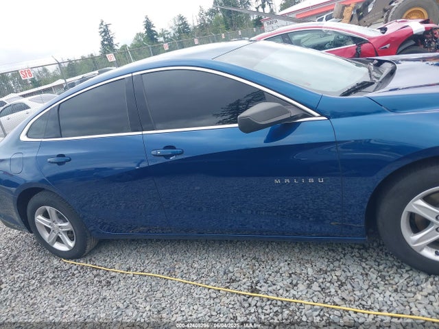 Chevrolet Malibu 1fl 2019 1G1ZC5ST8KF158159 Image 13