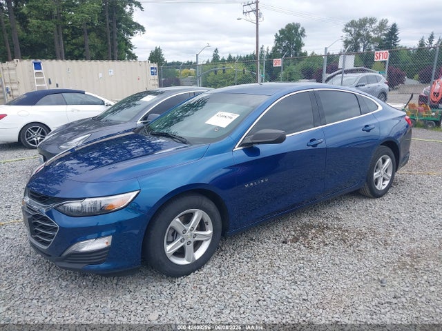 Chevrolet Malibu 1fl 2019 1G1ZC5ST8KF158159 Image 2