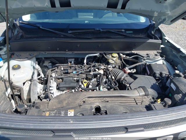3FMCR9B63NRD03625 Ford dragon