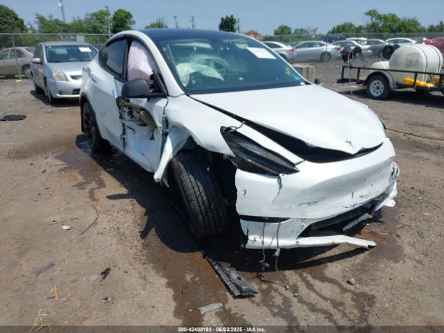2023 TESLA MODEL Y 7SAYGDEE2PF747091
