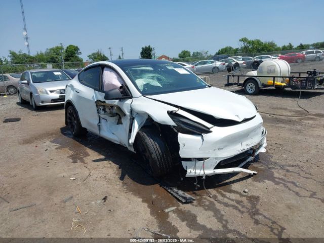 2023 TESLA MODEL Y 7SAYGDEE2PF747091 Photo 5
