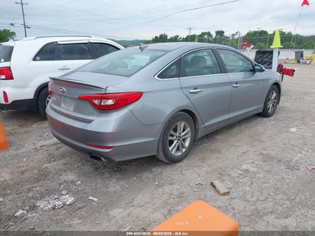 5NPE24AA0FH131908 Hyundai SONATA ECO