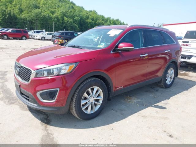 5XYPGDA54HG242436 KIA Sorento 3.3l Lx
