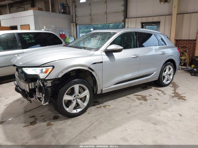 2019 AUDI E-TRON WA1LAAGE2KB009527 Photo 1