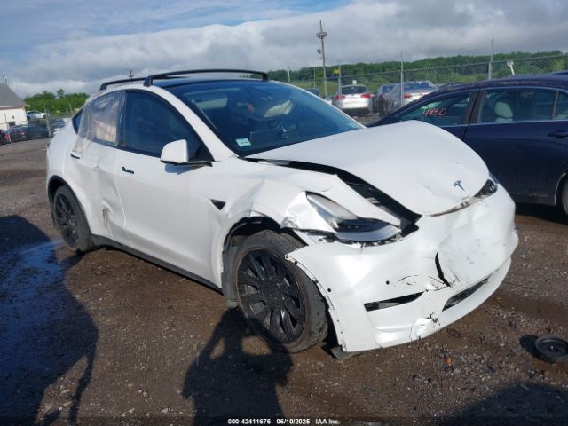2021 TESLA MODEL Y 5YJYGDEE5MF184000 Photo 0