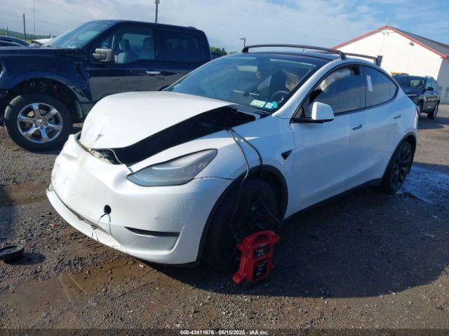 2021 TESLA MODEL Y 5YJYGDEE5MF184000 Photo 1