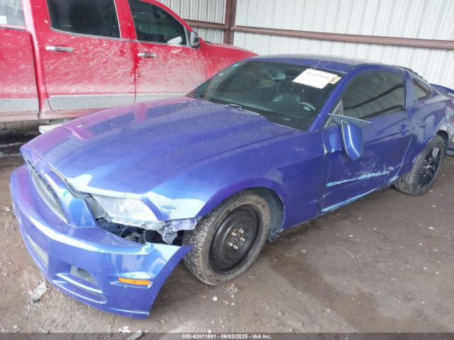2013 FORD MUSTANG 1ZVBP8AM2D5262273 Photo 1