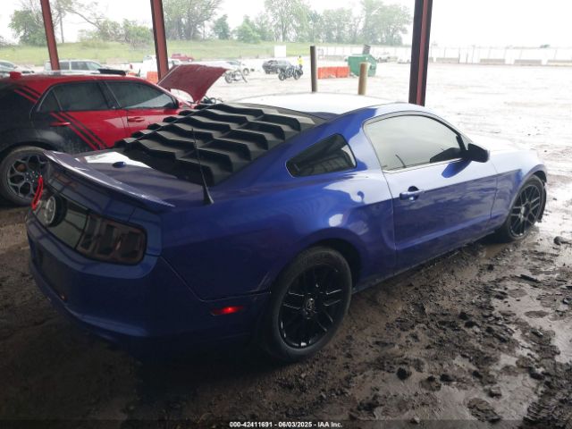 2013 FORD MUSTANG 1ZVBP8AM2D5262273 Photo 3