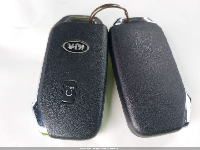 2021 KIA TELLURIDE 5XYP5DHC1MG125062 Photo 10