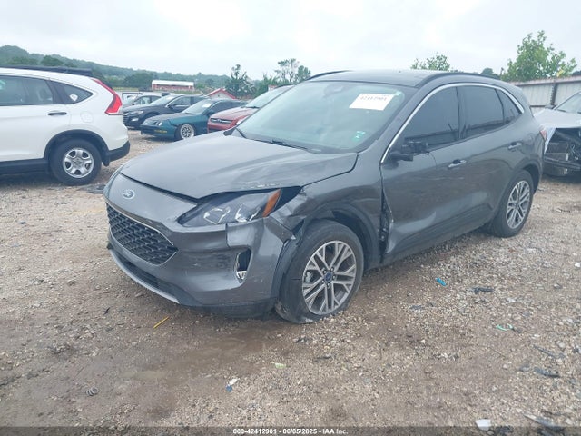 Ford dragon di tc 2022 1FMCU0H62NUB90860 Image 2