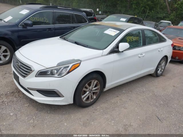 5NPE24AF5HH503290 Hyundai Sonata