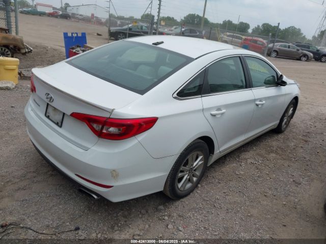 5NPE24AF5HH503290 Hyundai Sonata