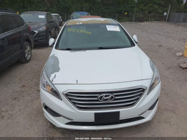 5NPE24AF5HH503290 Hyundai Sonata