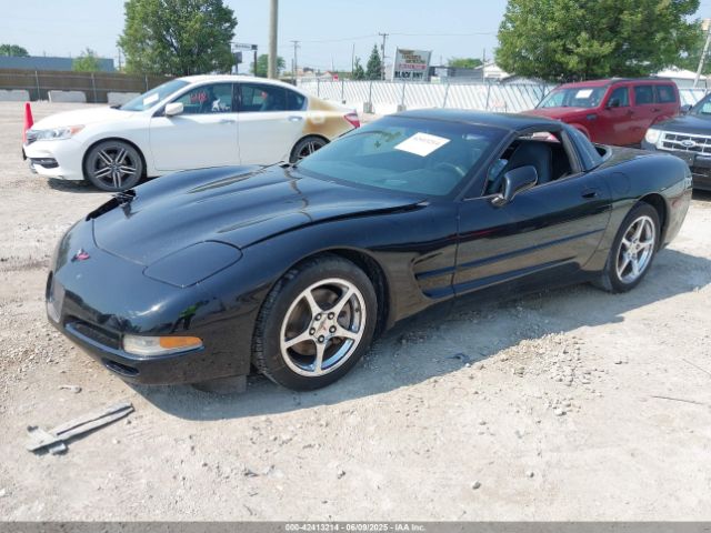 2002 CHEVROLET CORVETTE 1G1YY22G625135080 Photo 1