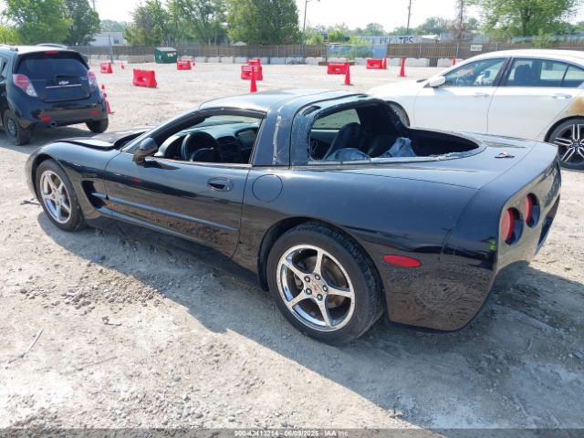 2002 CHEVROLET CORVETTE 1G1YY22G625135080 Photo 2