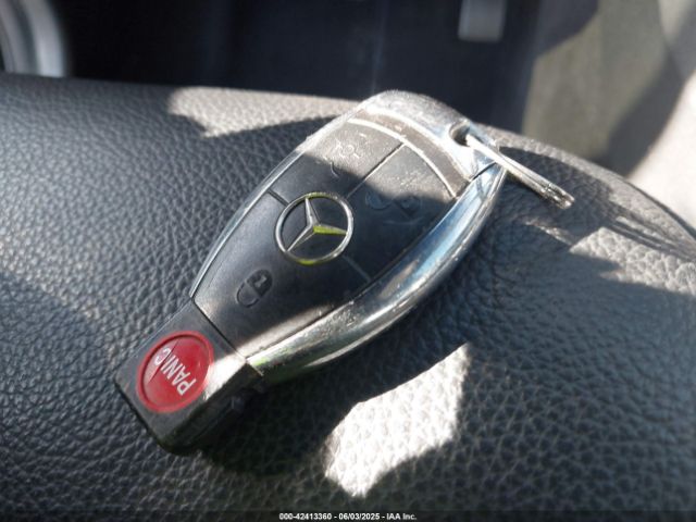 2010 MERCEDES-BENZ GL 450 4JGBF7BE2AA585826 Photo 10