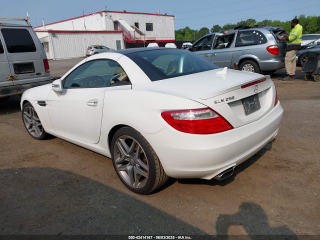 WDDPK4HA2FF100514 Mercedes-Benz SLK 250