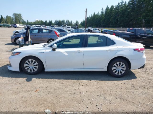 4T1B31HK3JU503605 Toyota Camry Hybrid Le