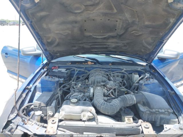 2009 FORD MUSTANG 1ZVHT80N595126582 Photo 9