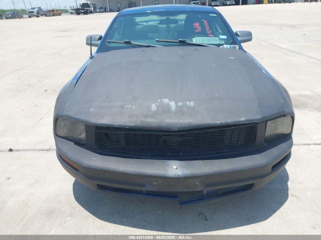 2009 FORD MUSTANG 1ZVHT80N595126582 Photo 5