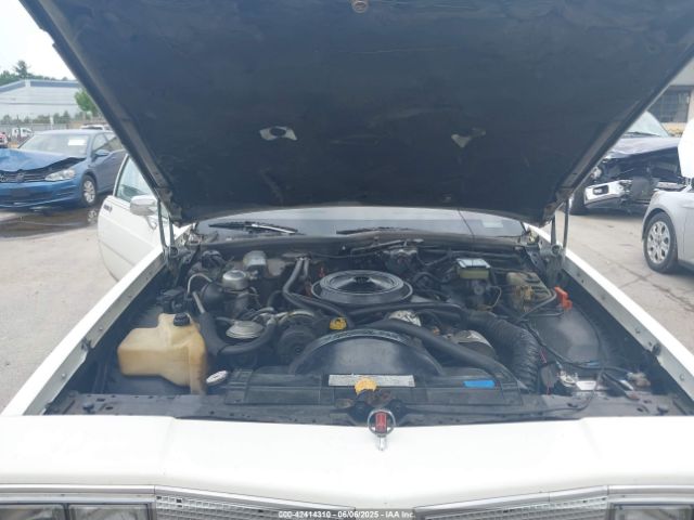 1981 OLDSMOBILE DELTA 88 1G3AN37Y8BM273248 Photo 9