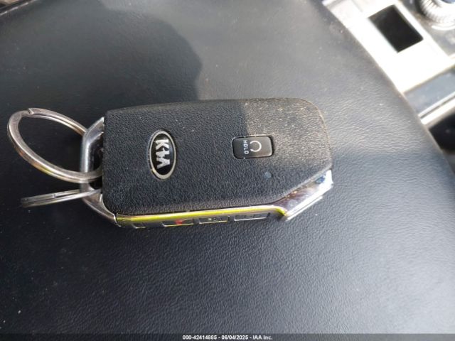 2021 KIA TELLURIDE 5XYP6DHC5MG173337 Photo 10