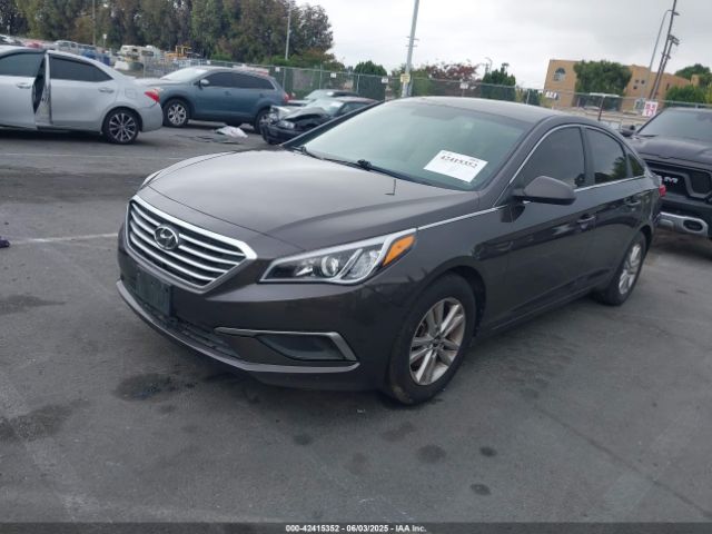 5NPE24AFXHH574565 Hyundai Sonata