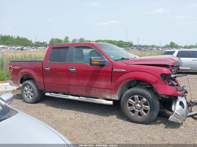 Ford F-150 Xlt 2014 1FTFW1EF2EKD03093 Image 13