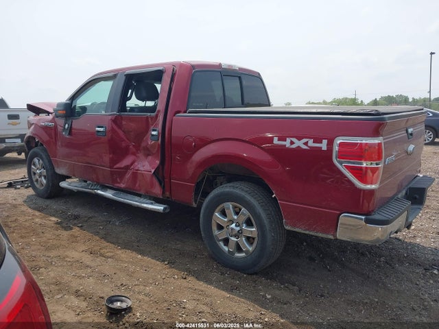 Ford F-150 Xlt 2014 1FTFW1EF2EKD03093 Image 14